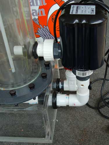 Recirculating pump on needle wheel protein skimmer